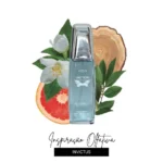 VINCITORE Eau de Toilette Masculino 30ml