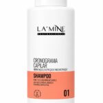 Shampoo Cronogrma Capilar  hanova 500ml